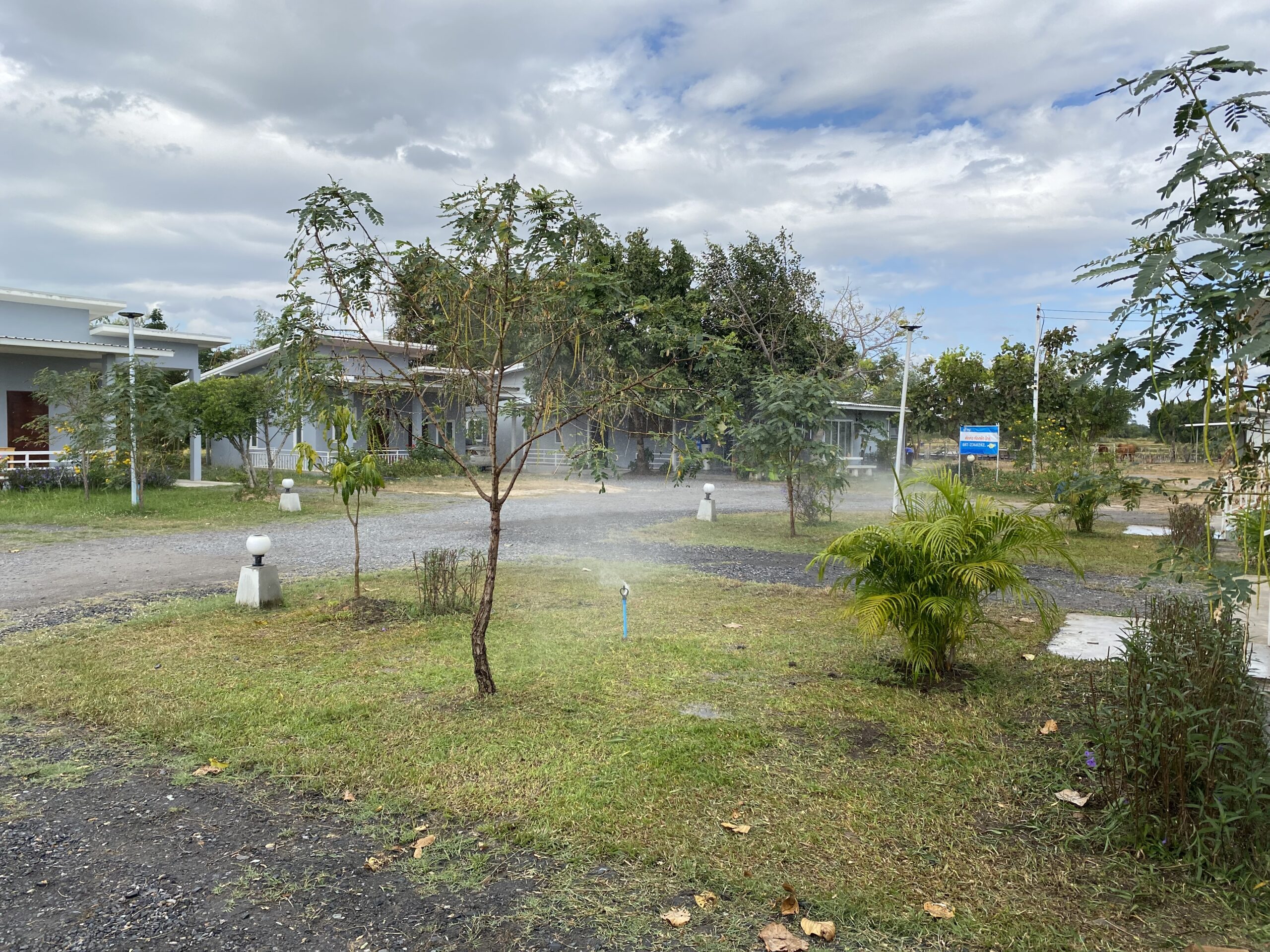 สวนหญ้าพร้อมสปริงเกอร์รดน้ำ มีต้นไม้และอาคารสีขาวในบริเวณร้าน ท้องฟ้ามีเมฆ