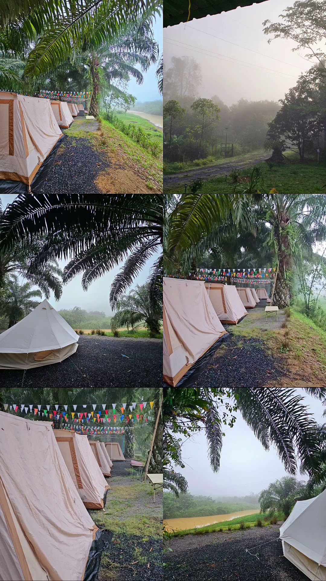 เต็นท์แกลมปิ้งสีขาวเรียงแถวท่ามกลางต้นปาล์มและหมอกยามเช้าริมแม่น้ำ ตกแต่งด้วยธงสามเหลี่ยมหลากสี
