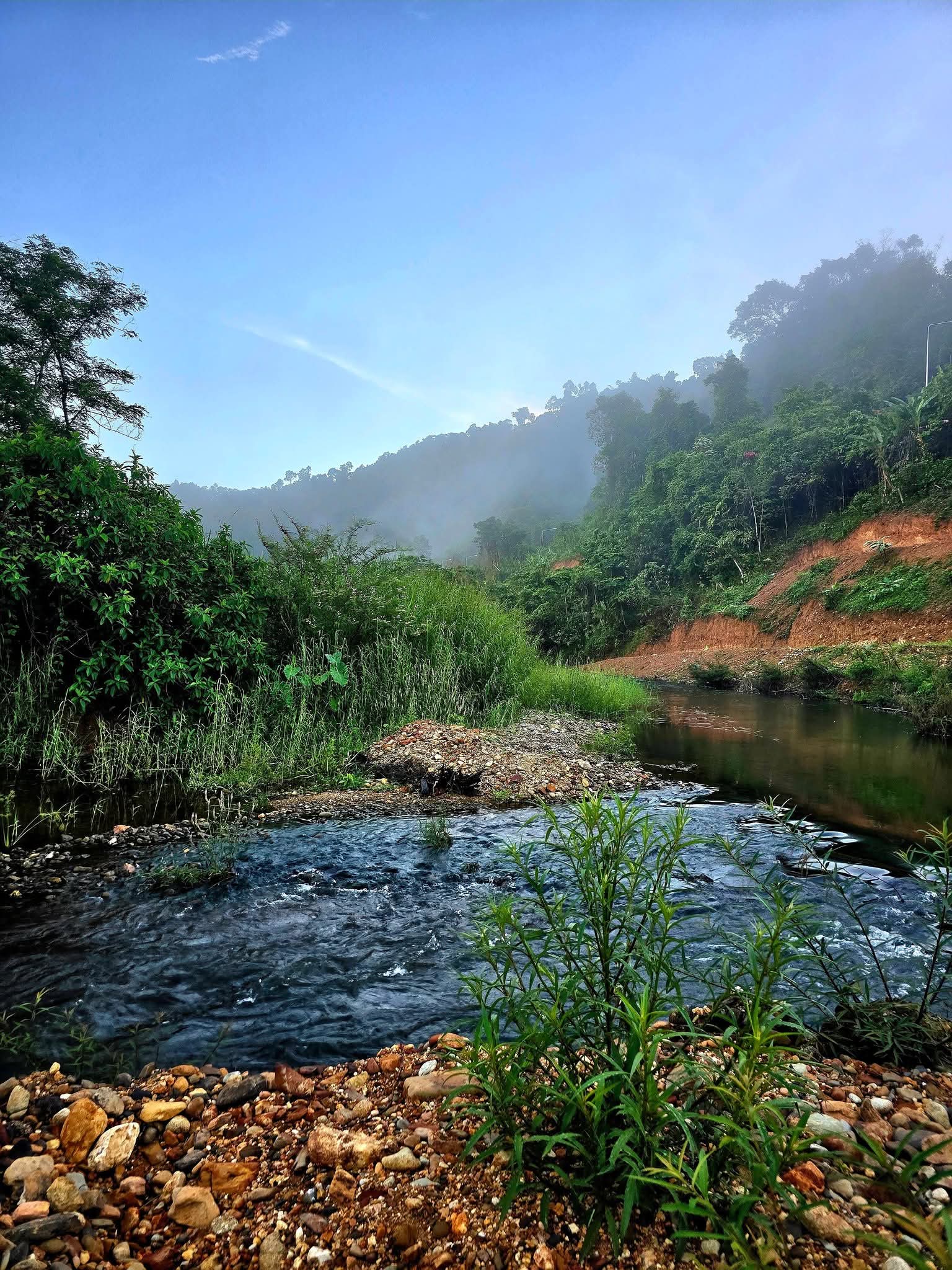 ลำธารน้ำใสไหลผ่านหินกรวดท่ามกลางภูเขาเขียวขจีและหมอกยามเช้า