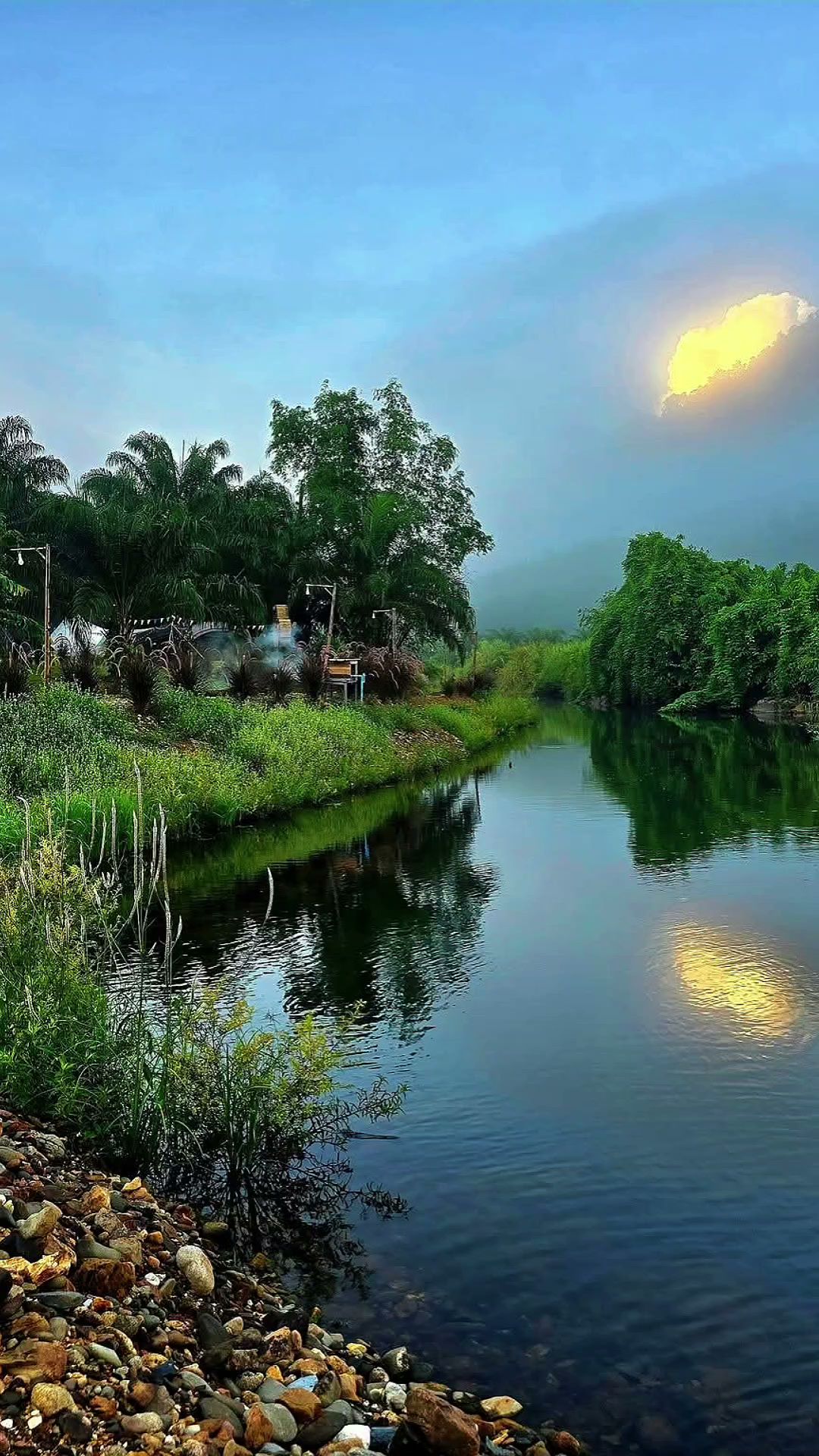 วิวริมแม่น้ำท่ามกลางธรรมชาติสีเขียวขจี มีต้นไม้เขตร้อนและท้องฟ้ายามเย็นสะท้อนในผืนน้ำ