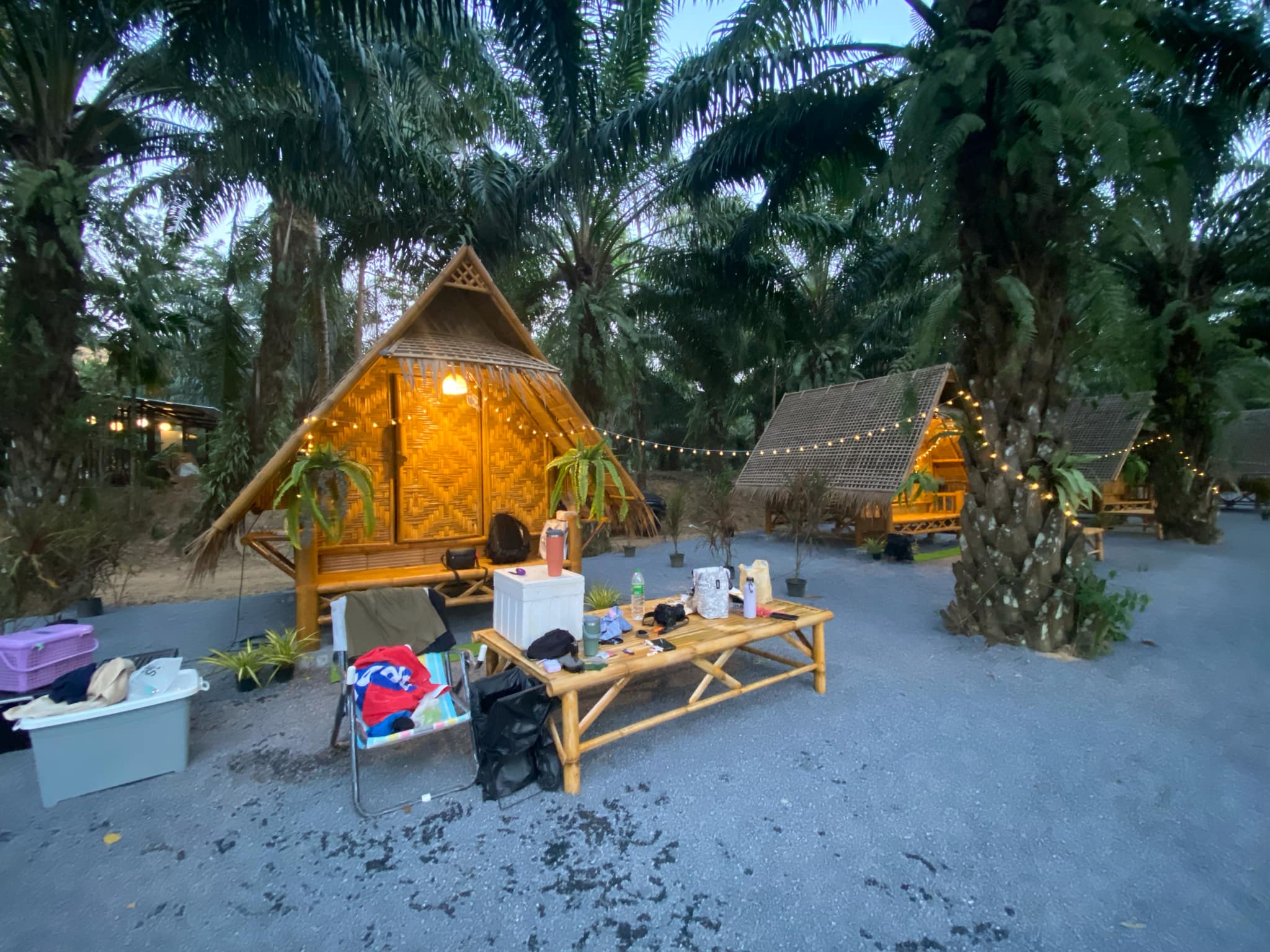 กระท่อมไม้ไผ่ทรงสามเหลี่ยมสไตล์ท้องถิ่นท่ามกลางสวนปาล์มพร้อมไฟประดับยามเย็น มีโต๊ะไม้ไผ่และเก้าอี้พับด้านหน้า
