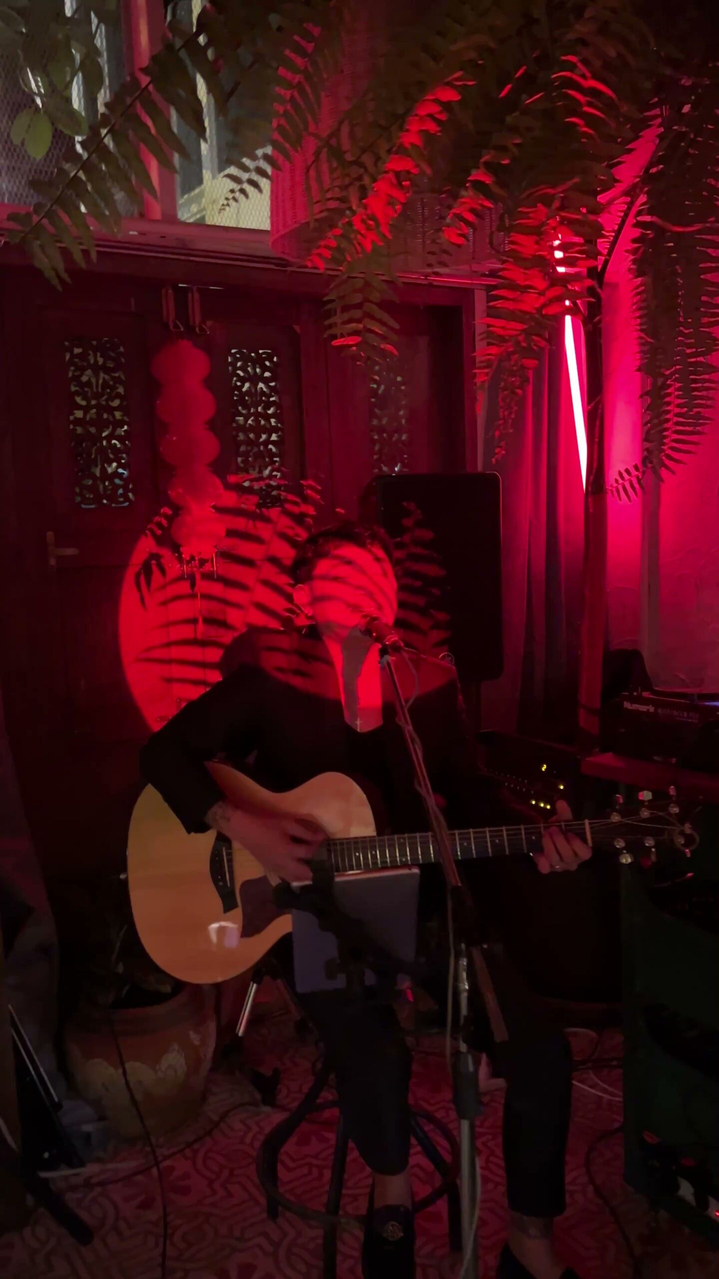 นักดนตรีเล่นกีตาร์โปร่งในบรรยากาศแสงสีแดงภายในร้านอาหารที่ตกแต่งด้วยเฟิร์นและลวดลายฉลุ