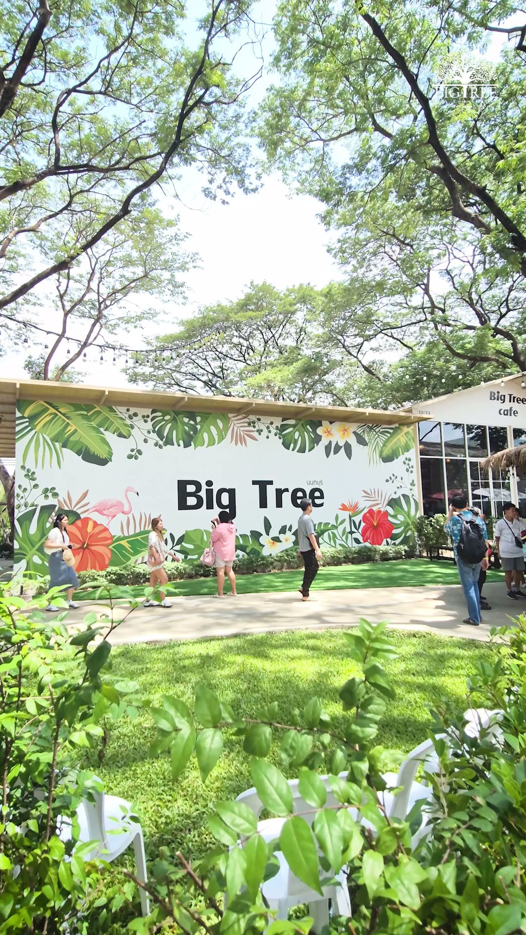 ทางเข้าร้าน Big Tree Cafe นนทบุรี มีกำแพงตกแต่งลายดอกไม้เขตร้อนและนกฟลามิงโก สวนหญ้าเขียวขจี ร่มรื่นใต้ต้นไม้ใหญ่