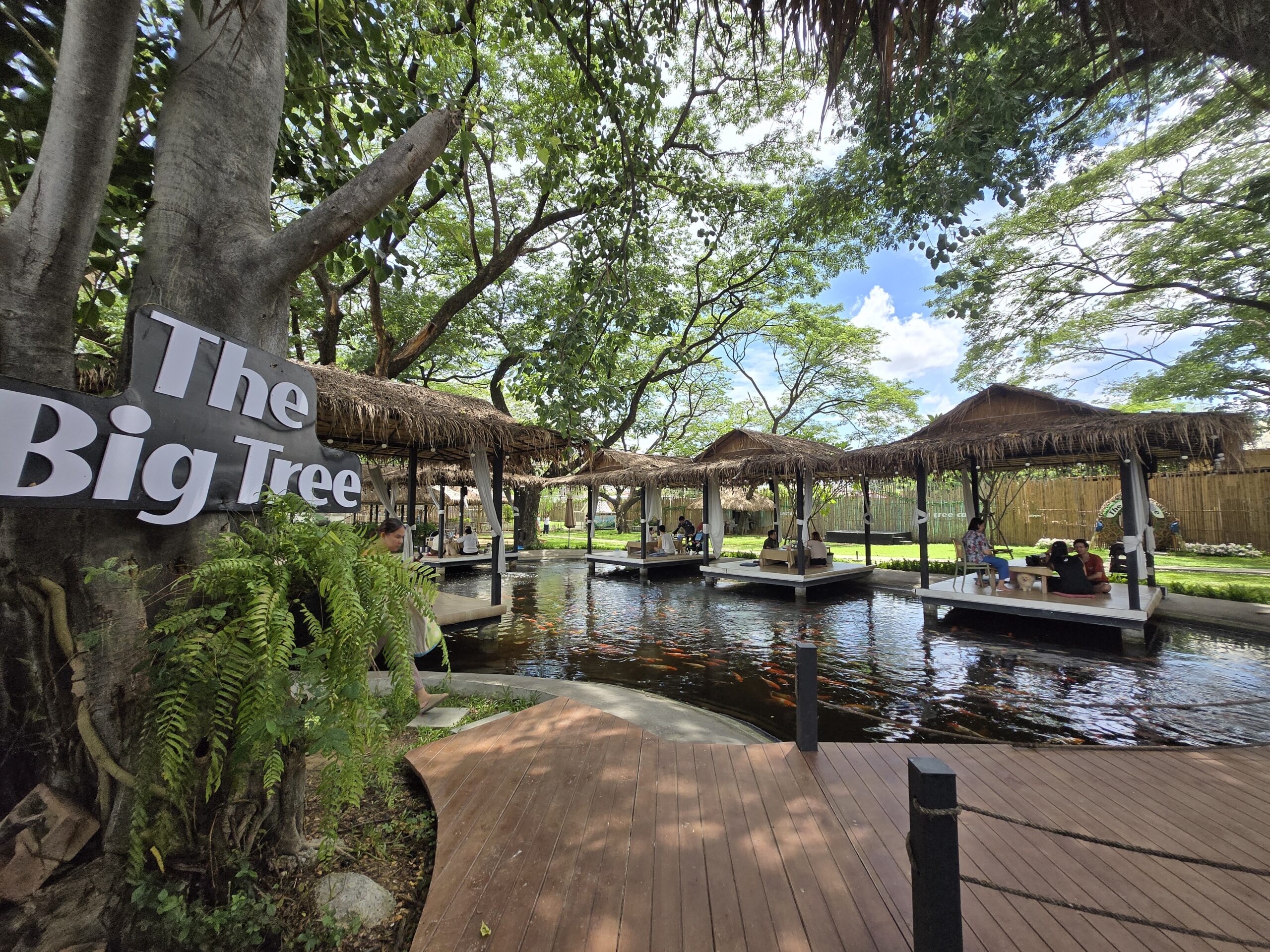 ร้านอาหาร The Big Tree มีศาลาหลังคามุงจากตั้งอยู่กลางบ่อปลาคาร์ป ล้อมรอบด้วยต้นไม้ใหญ่ร่มรื่น มีทางเดินไม้และบรรยากาศธรรมชาติสวยงาม