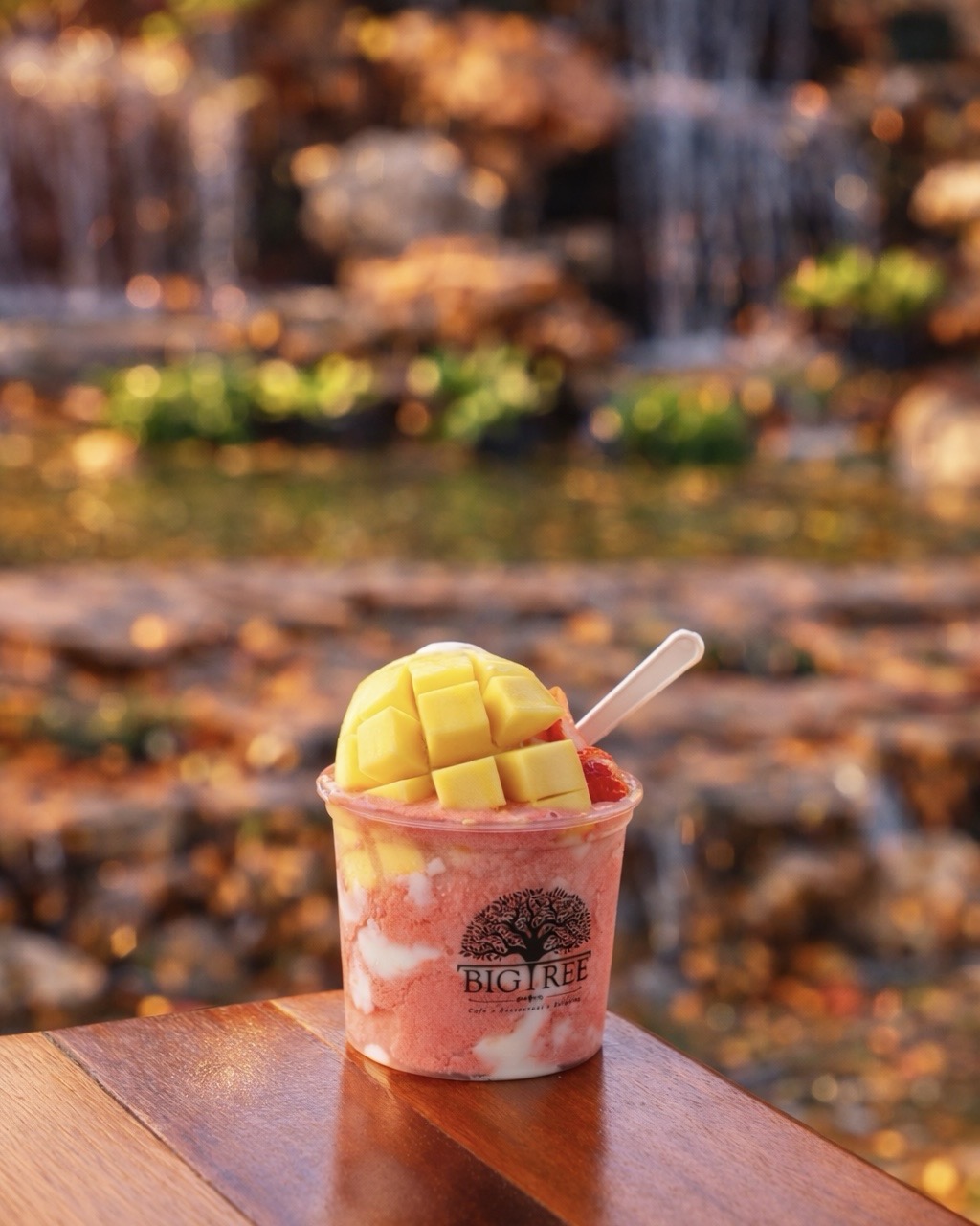 บิงซูมะม่วงสดในแก้วร้าน Big Tree วางบนโต๊ะไม้หน้าน้ำตกจำลอง มีมะม่วงหั่นลูกเต๋าและซอสสตรอว์เบอร์รี่