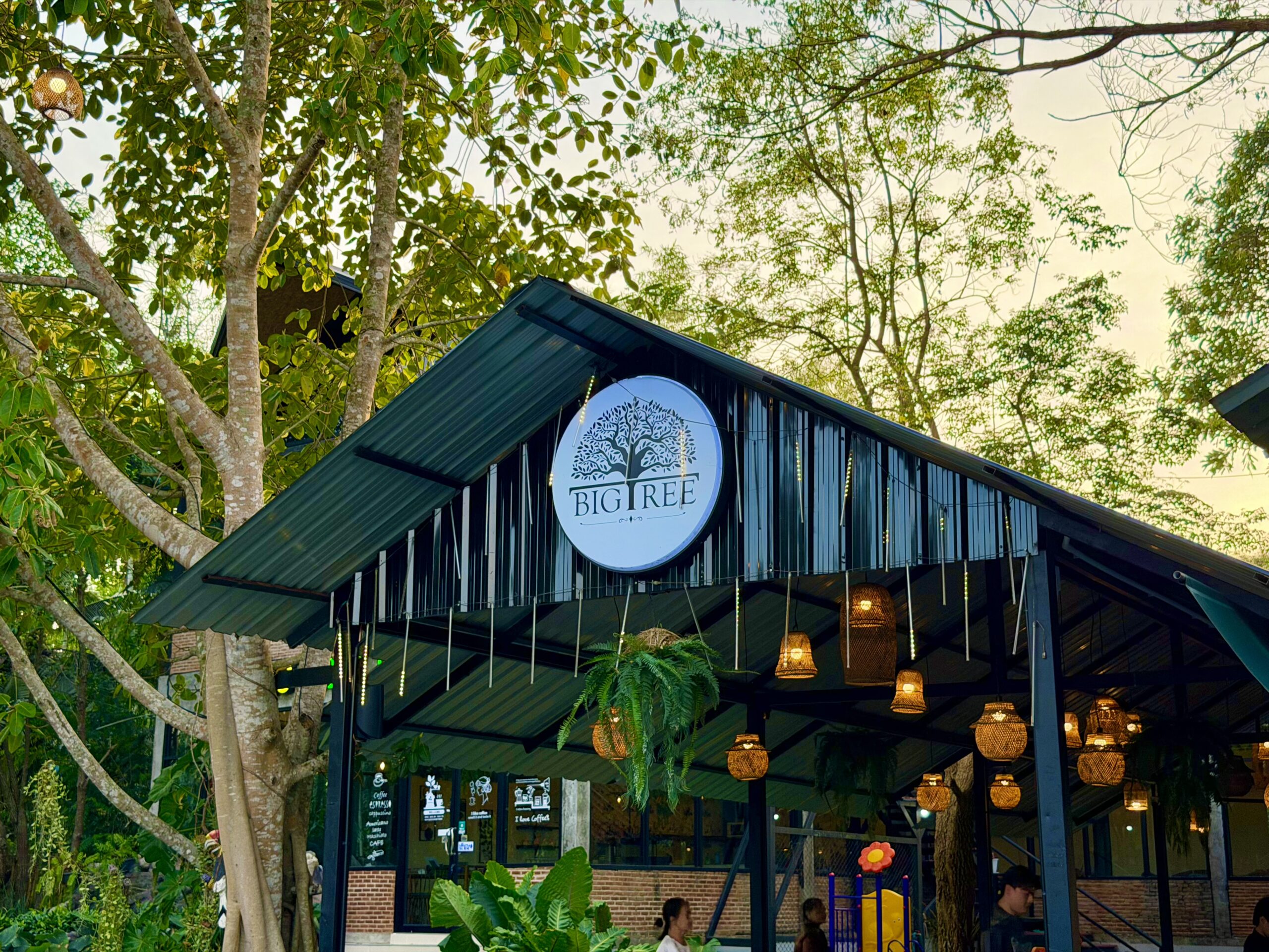ด้านหน้าร้านคาเฟ่ Big Tree ตกแต่งด้วยโคมไฟสานและต้นไม้เขียวขจี มีป้ายโลโก้รูปต้นไม้วงกลมขนาดใหญ่